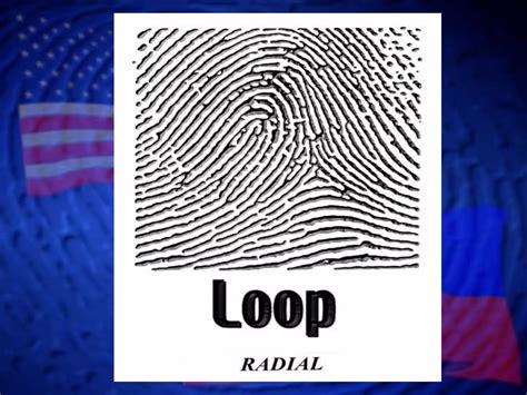 Image result for Loop Fingerprint
