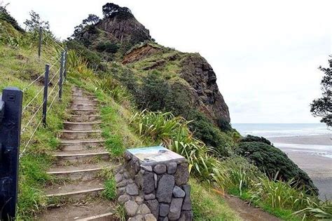 Summer In Auckland: A Guide To Know About Its Charm In 2025