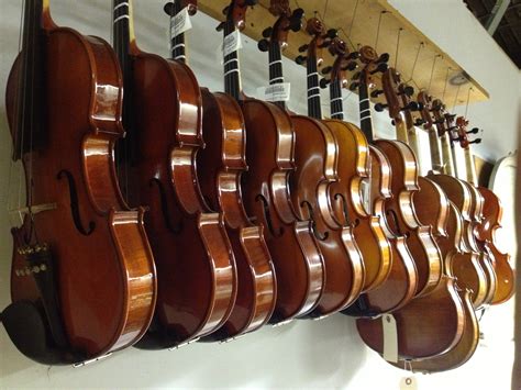 Image result for Larger String Instruments