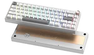 Amazon.in: Buy Womier SK65 Wireless Mechanical Gaming Keyboard with ...