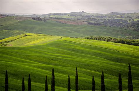 Image result for Example Clear Background