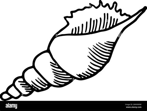 Image result for Drawing On Shell Script