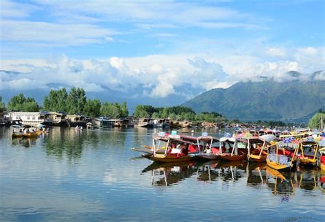 Tour Packages | Monks & Monkeys Travels