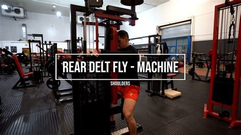 Image result for Back Fly Machine