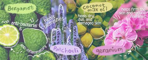 Buy Hibiscus Monkey Velvet Spray Bergamot In Shower Body Moisturizer ...