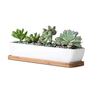 wish you have a nice day 11.1 inch long rectangle White Ceramic ...