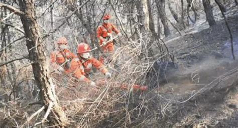森林火灾消防常识：严格遵守火场纪律 服从统一指挥