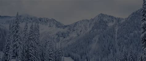 Mono PERC Solar Panel ECE144M535 | ECE India