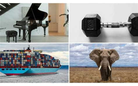 Dynamics Examples 的图像结果