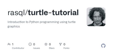 Turtle Programming Tutorial 的图像结果
