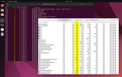 Parent Process Identifier in Task Manager 的图像结果