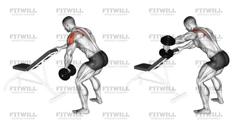 Dumbbell One Arm Reverse Fly (with Support): Exercise Guide, Techniques, Benefits, How to ...
