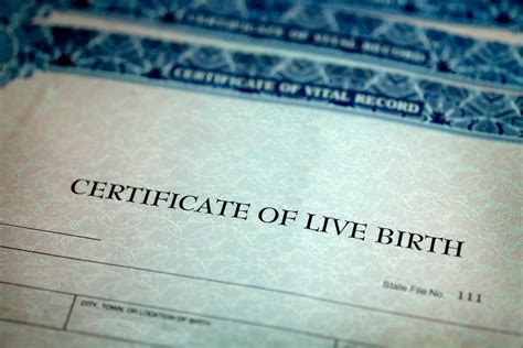 Image result for Birth Certificate Explained