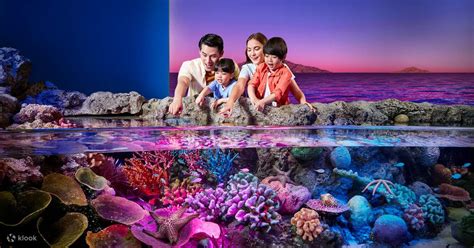 Buy Sea Life Bangkok Ocean World Ticket Online - Klook India