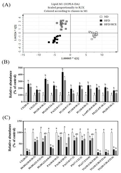 Anti-NAFLD Effect of Djulis Hull and Its Major Compound, Rutin, in Mice ...
