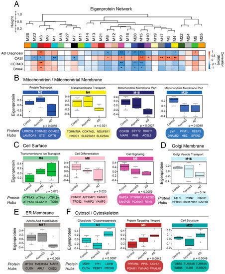 Network Analysis of a Membrane-Enriched Brain Proteome across Stages of ...