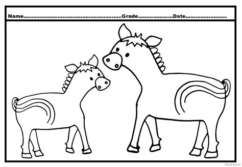 Horse and Foal Coloring Pages