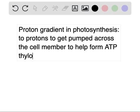 Image result for Proton Gradient