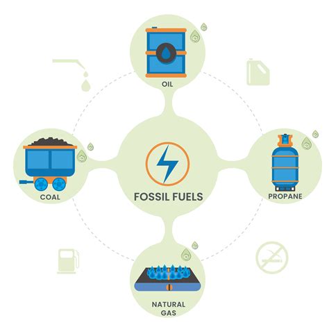 From Ancient Decay To Energy: How Fossil Fuels Are Formed