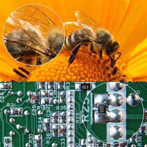 Camera Sensor Under Microscope 的图像结果