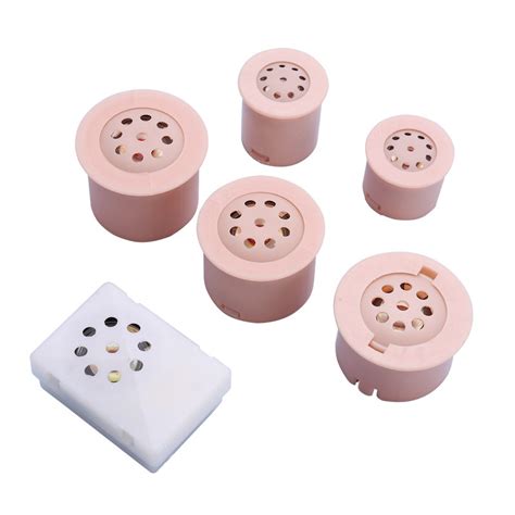 Image result for Custom Sound Module