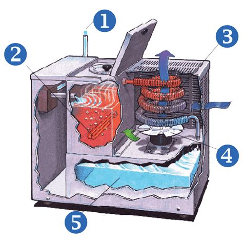 Rotten Egg Taste/Odor