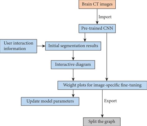 Image result for Decathlon Brain Segmentation Code
