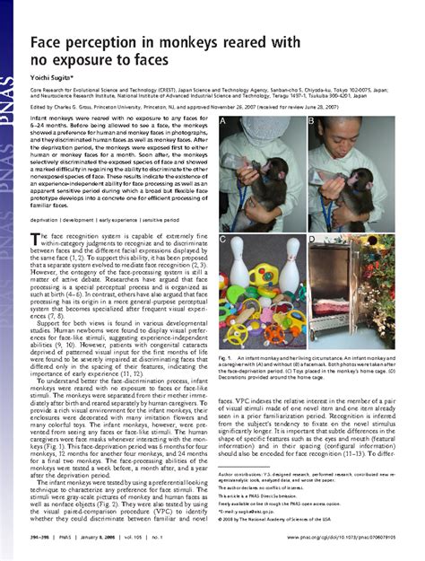 Sugita Article - Face perception in monkeys reared with no exposure to ...