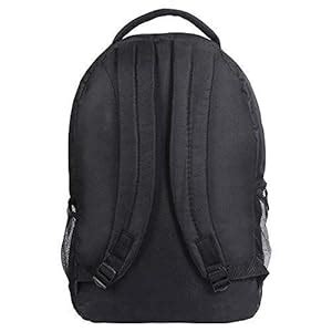 Buy Skybags 30 Ltrs Dark Blue Casual Backpack (SBSTR1HBLU) at Amazon.in