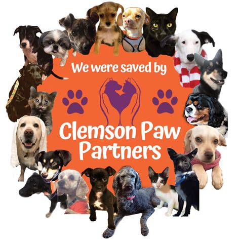 Clemson Paw Partners – Community Hands Partnering With Paws