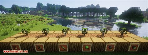 Image result for Minecraft Java Dynamic Trees