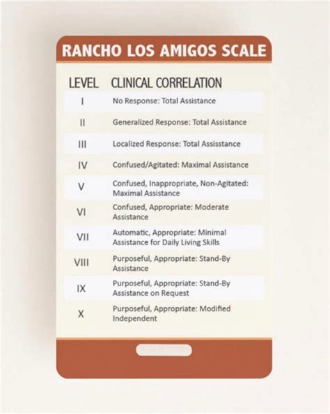 Rancho Los Amigos & Glasgow Coma Scale Quick Guide - Etsy Canada