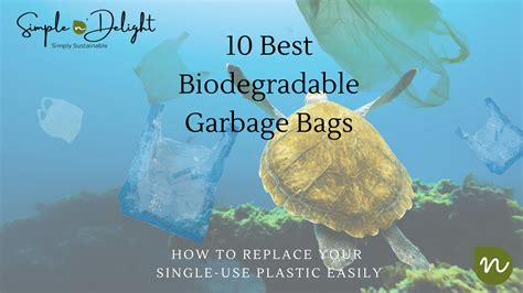 Biodegradable 的图像结果