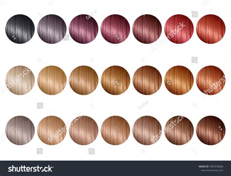 Hair Color Chart With Names Human Hair Color Chart Also Named Color