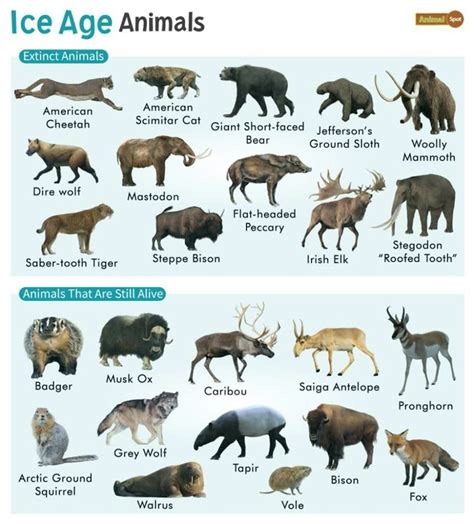 Image result for 5 Extinct Animals