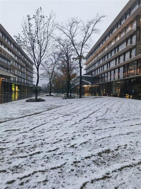 From Pathlib Import Path 的图像结果