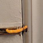 Weak Security 的图像结果