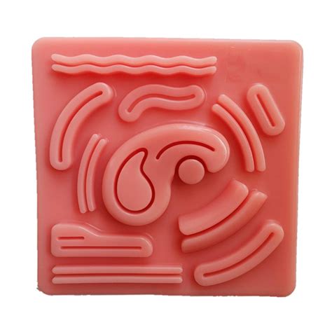 Buy Bhuuno 3D Suture Pad Surgical Skin Model Suture Practice Kit for ...