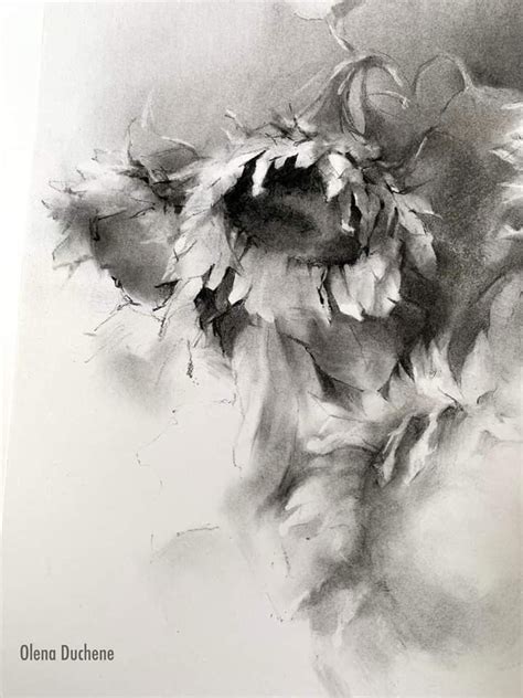 Image result for Tonal Tutorial