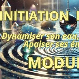 Initiation au Pendule sur ses pierres, de leau, ses émotions, module 3 ...