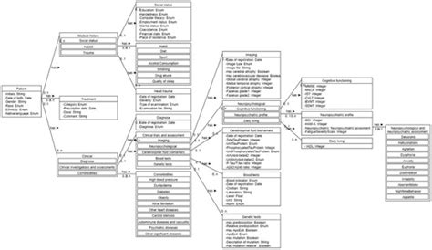 Cognitive Impairment and Dementia Data Model: Quality Evaluation and ...