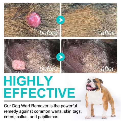 What Causes A Skin Tag On A Dog at Julia Alvarado blog