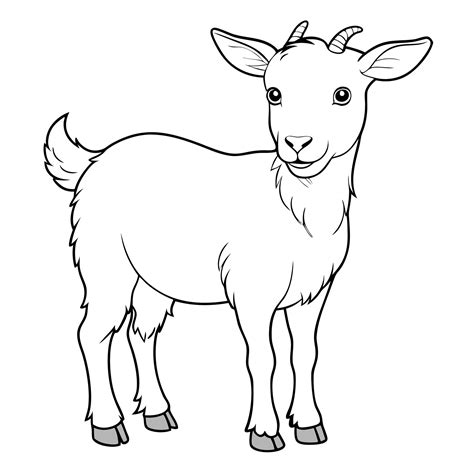 Goat outline sketch design 48428629 Vector Art at Vecteezy
