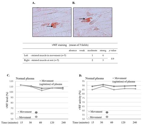 Augmented Degradation of Factors VIII and IX in the Intermittent ...