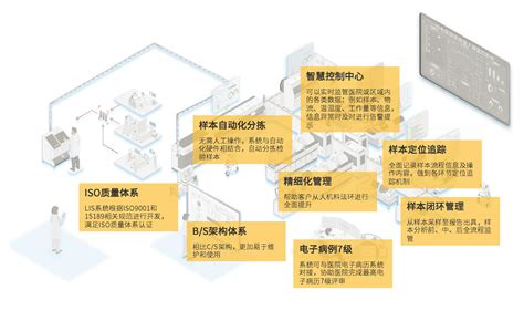 铜陵市枞阳实验中学收费标准(学费)及学校简介_小升初网