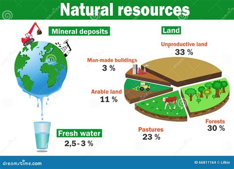 Environmental Infographic