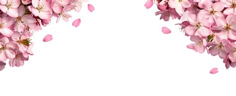 re sources PNG Aesthetic HD Wallpaper HD Wallpaper Aesthetic Aesthetic HD Wallpaper Aesthetic