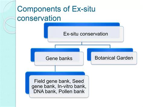 Ex situ conservation | PPTX