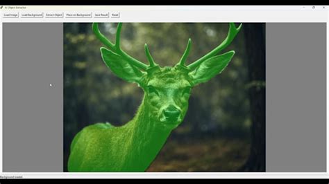 Advanced Computer Vision Projects 的图像结果