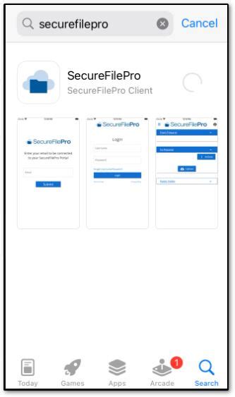 Secure File Pro Portal 的图像结果